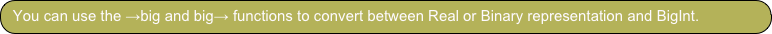 You can use the →big and big→ functions to convert between Real or Binary representation and BigInt.