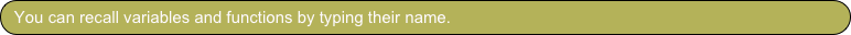You can recall variables and functions by typing their name.
